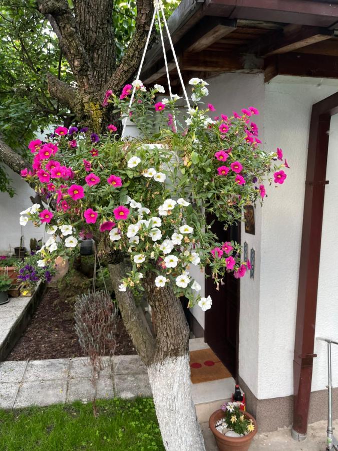 Apartments Music, Garden And Parking Sarajevo Bagian luar foto